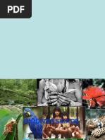 Aula sobre Biodiversidade