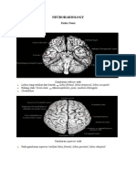 Neuro Radiology