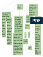 Mapa Conceptual Capital Social Nif C-11