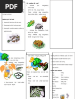 Download Leaflet Gizi Ibu Hamil  by Kuurniiaa Praweestii SN269304665 doc pdf