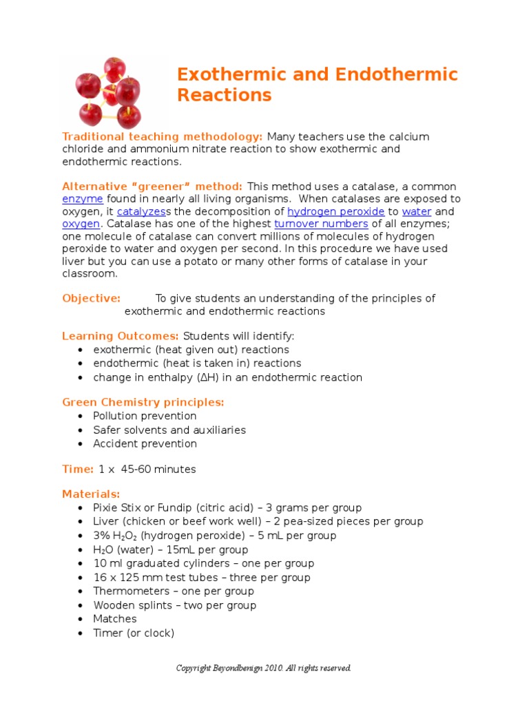 Exothermic Endothermic Reaction Lab PDF Catalase Properties Of Water