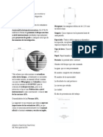 Normas APA para Trabajos Escritos y Documentos de Investigación