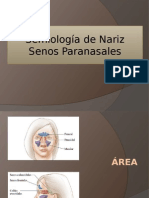 Semiología de Nariz Senos Paranasales