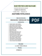 Factor de Crecimiento Transformante B (Exposicion) (10 Tema)