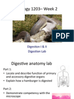 Biol 1203 Week 2_LS_S15_students (1)