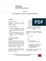 Fuerza Hidrostatica Sobre Una Superficie Sumergida