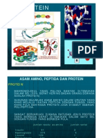 Protein PDF