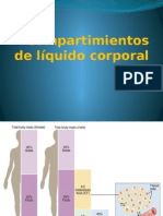 Agua Corporal y Membrana Plamática