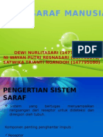 Sistem Saraf 2015