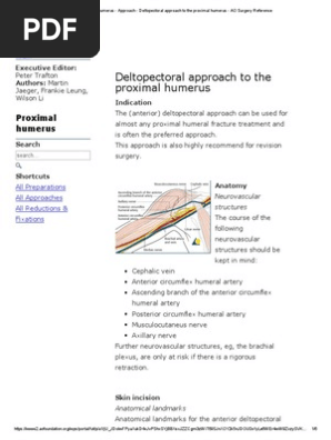 Proximal Humerus Approach Deltopectoral Approach To The Proximal Humerus Ao Surgery Reference Pdf Shoulder Anatomical Terms Of Location