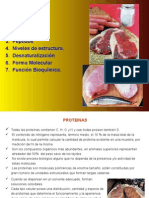 Tema 1 Proteinas.ppt