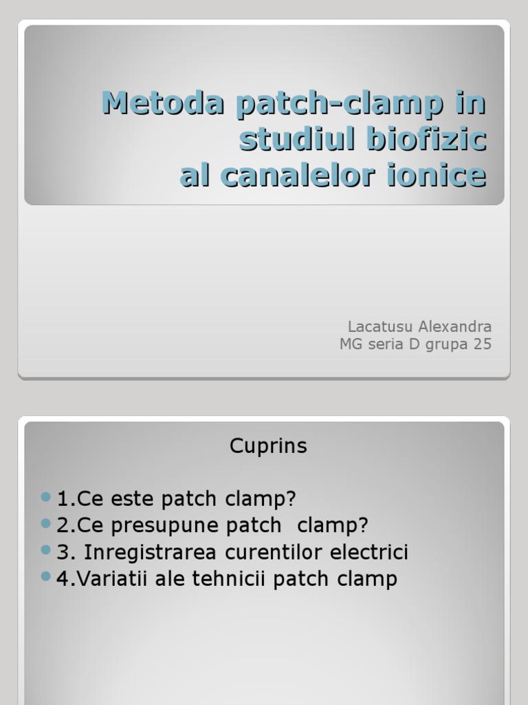 Patch Clamp | PDF