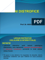 s1 Curs 5 - LEZIUNI DISTROFICE.ppt