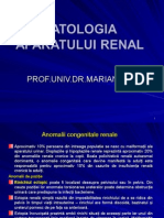 s2 Curs 7 - patologia urinara.ppt