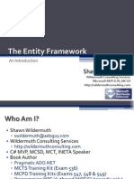 Intro Entity Framework