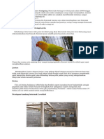 Ternak Love Bird PDF