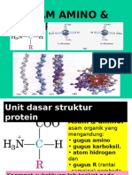 Protein&Asam Amino