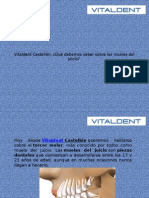 Vitaldent Castellón