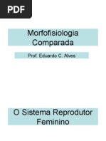 Sistema Reprodutor Feminino e