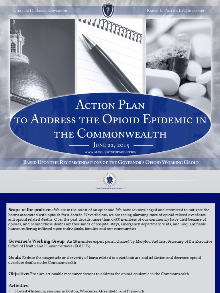 Action Plan To Address The Opioid Epidemic in The Commonwealth | PDF ...