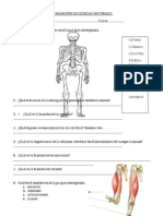 4º Evaluación de Ciencias Naturales