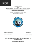 Download Varun Beverages by abhasa SN26937769 doc pdf