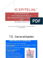 Tejido Epitelial 