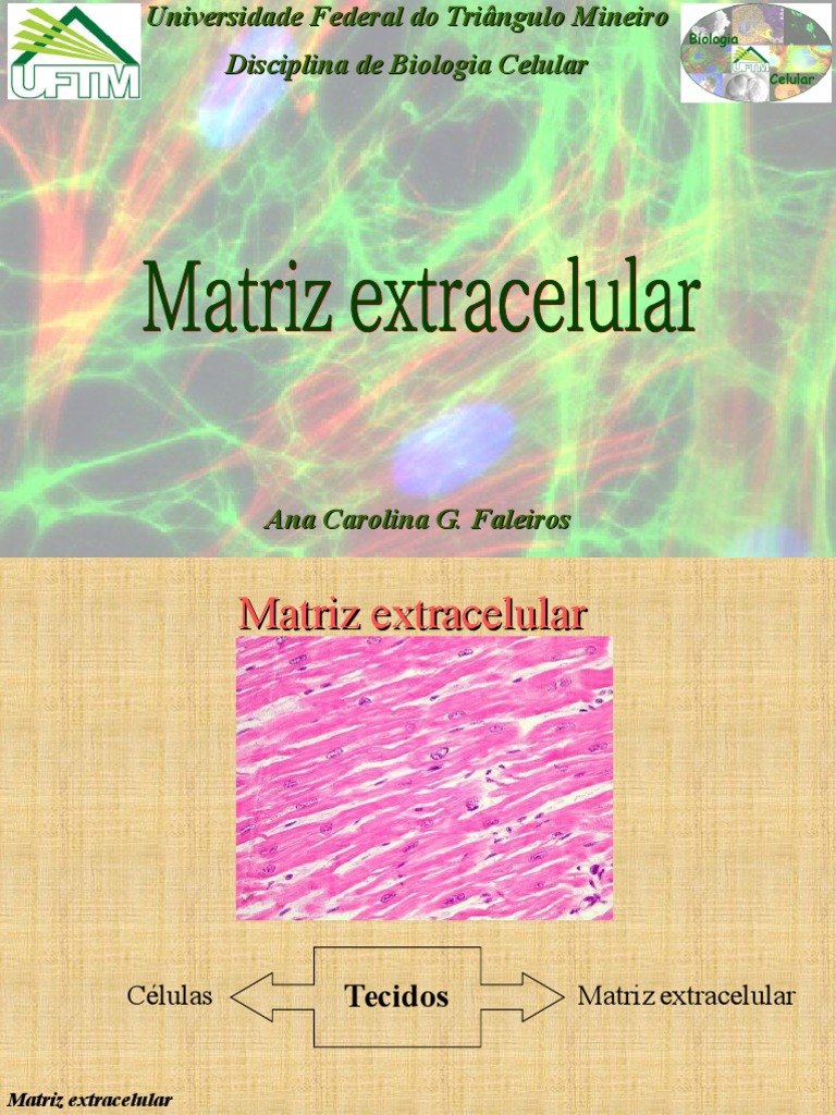 2013 Matriz Extracelular PDF Matriz Extracelular Colágeno