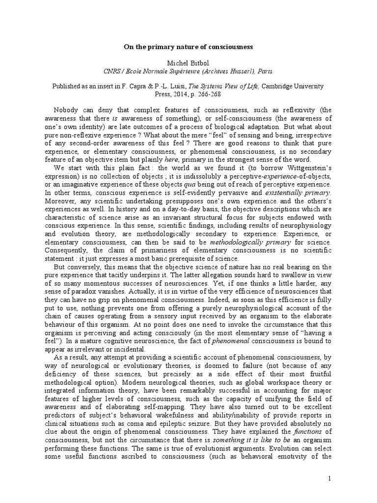 On The Primary Nature of Consciousness PDF Consciousness