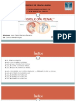 Fisiología Renal