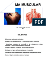 Sistema Muscular 2014 PDF