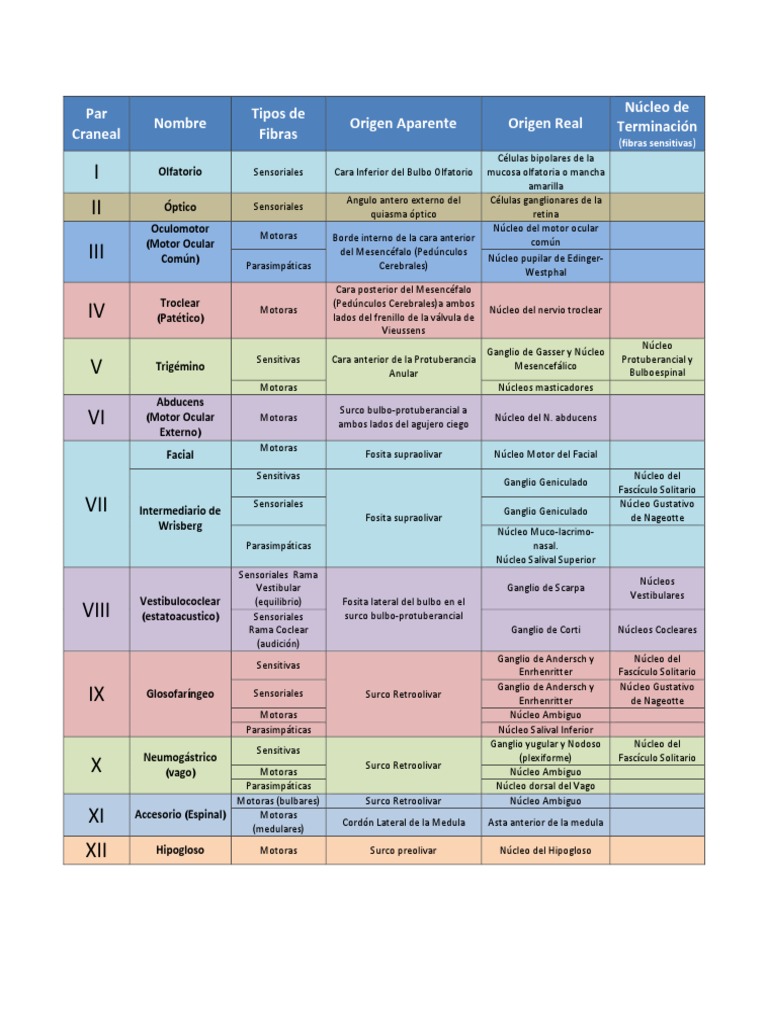 Pares Craneales (Origen y Terminaciones)
