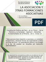 La Asociación y Otras Formaciones Asociativas