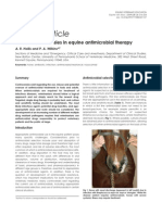 Current controversies in equine antimicrobial therapy