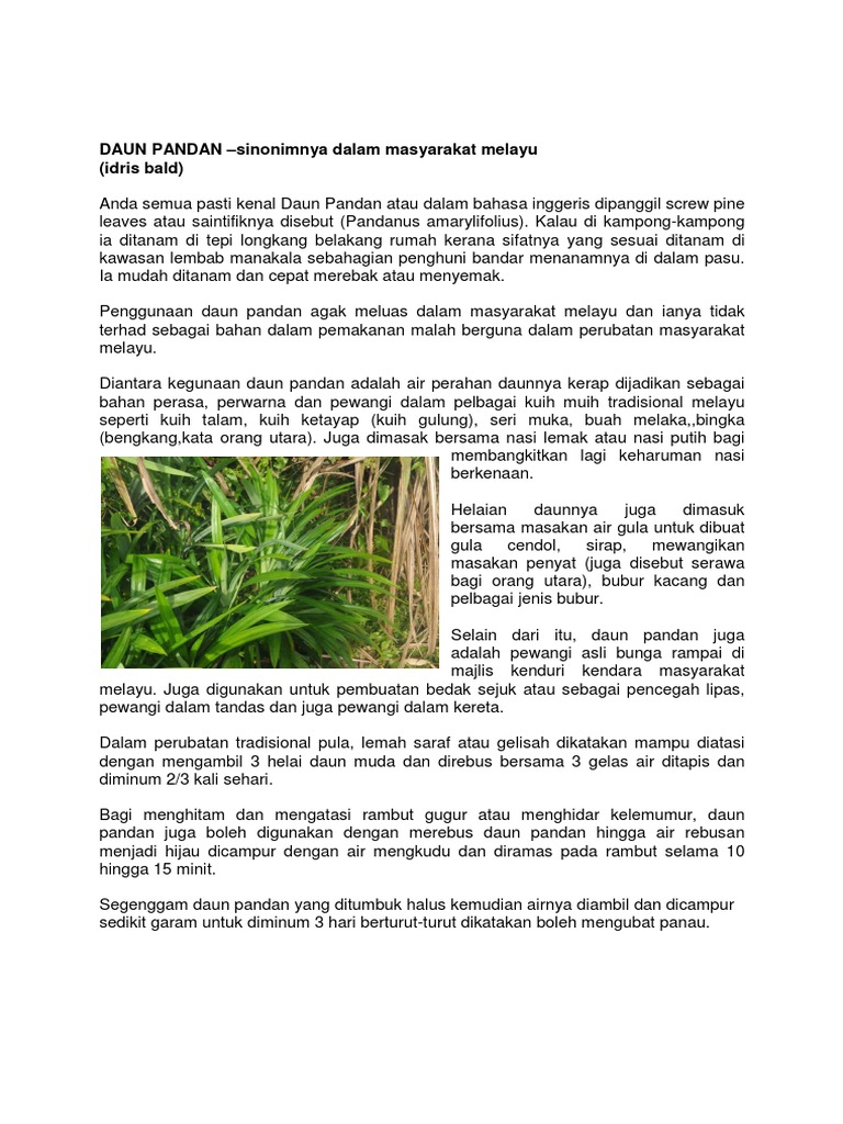Khasiat Dan Kegunaan Daun Pandan Pdf