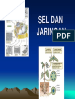 Sel Dan Jaringan