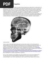 Neuropsicologia Cognitiva