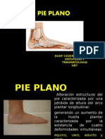 Pie Plano