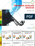 Primeros Auxilios Basicos Gtep 2014