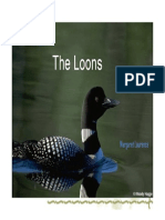 Loons