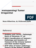 Histopatologi Tumor Urogenital