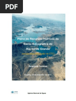 20110225_prhverdegranderelatoriosintese