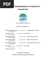 Download POLIKETIDA-KELOMPOK 1A by Fandi SN269485288 doc pdf