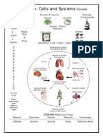 Ccs Concept Map 8