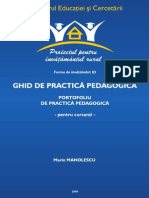 Practica Pedagogica