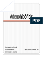 Adenohipofisis PDF