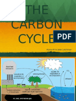 THE Carbon Cycle: Aiyna Ali & Jade Lutchman