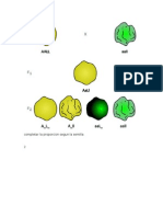 Ejercicios de 3 Ley de Mendel