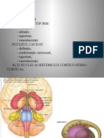 Nuclei Bazali