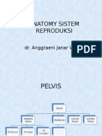 Anatomi Reproduksi Blok Ls